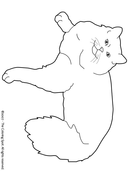 Ragdoll Coloring Page | Audio Stories for Kids | Free Coloring Pages