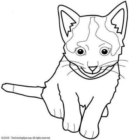 Kitten Coloring Page | Audio Stories for Kids | Free Coloring Pages