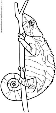 Lizard Coloring Page | Audio Stories for Kids | Free Coloring Pages ...
