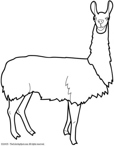 Download llama | Audio Stories for Kids | Free Coloring Pages | Colouring Printables