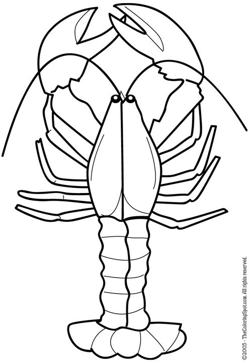 Lobster Coloring Outline Clipart Cartoon Kids Pages Clip Cliparts Line ...