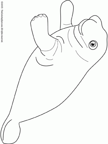 manatee | Audio Stories for Kids | Free Coloring Pages | Colouring
