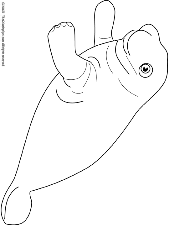 manatee free coloring pages