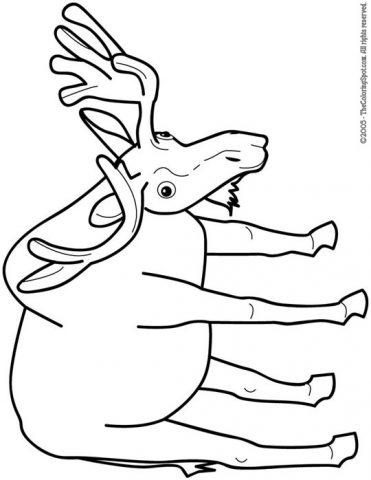 Moose Coloring Page | Audio Stories for Kids | Free Coloring Pages