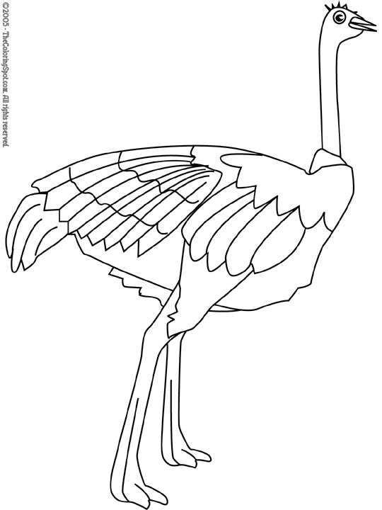 Download Ostrich Coloring Page 2 | Audio Stories for Kids | Free ...