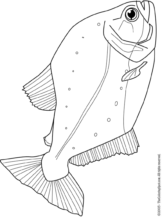 Piranha Coloring Page | Audio Stories for Kids | Free Coloring Pages