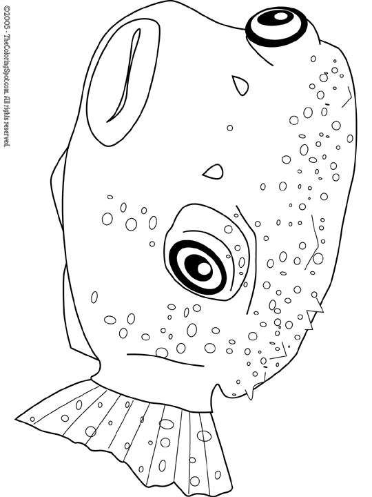 Pufferfish Coloring Page Audio Stories for Kids Free Coloring Pages