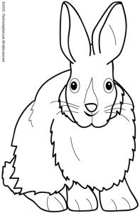 Rabbit Coloring Page 1 | Audio Stories for Kids | Free Coloring Pages