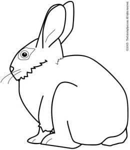 rabbit2 | Audio Stories for Kids | Free Coloring Pages | Colouring ...