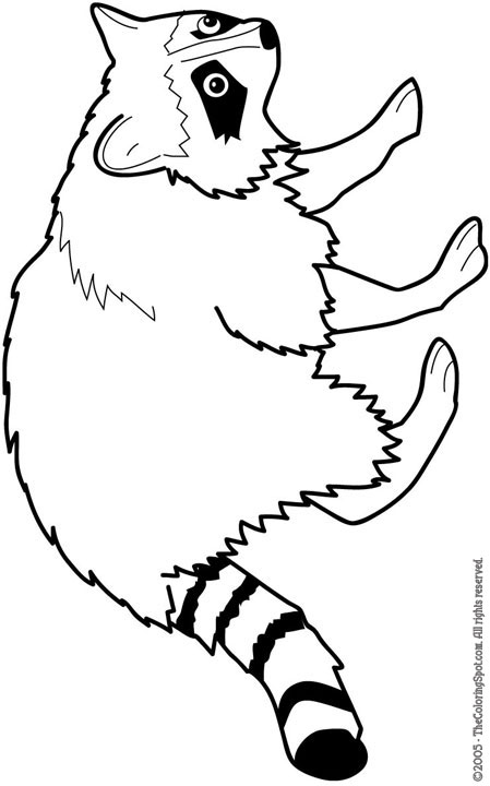 Raccoon Coloring Page | Audio Stories for Kids | Free Coloring Pages | Colouring  Printables