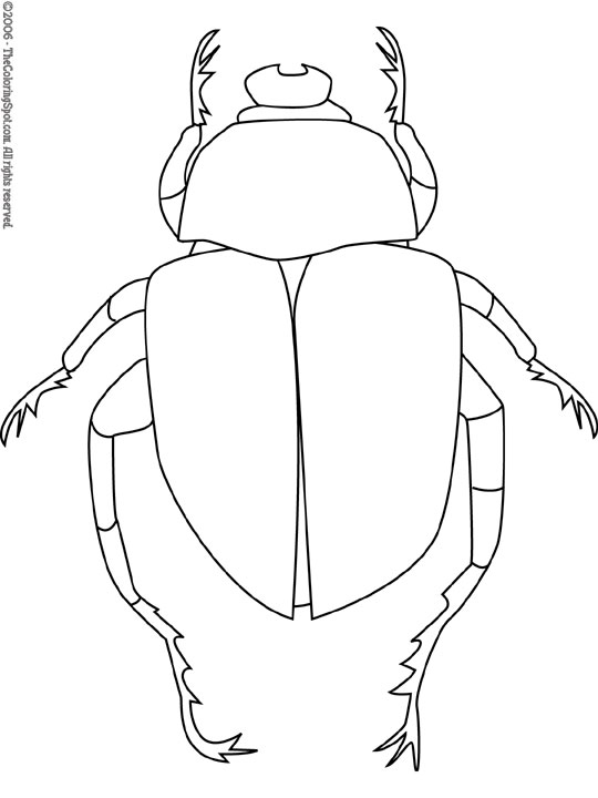 Scarab Beetle Coloring Page | Audio Stories for Kids | Free Coloring