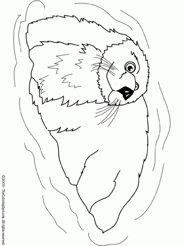 sea-otter | Audio Stories for Kids | Free Coloring Pages | Colouring
