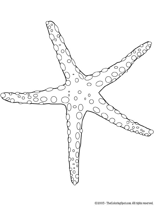 Sea Star Coloring Page Audio Stories For Kids Free Coloring Pages 