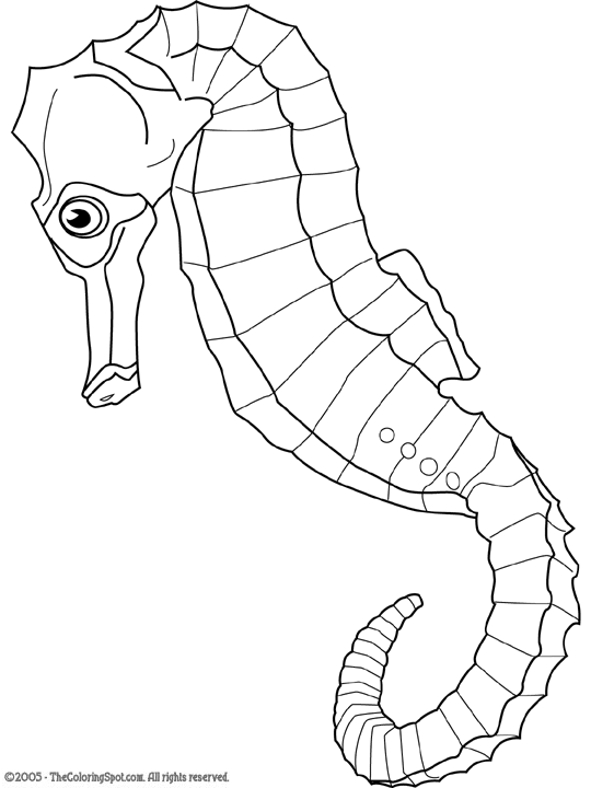 seahorse-coloring-page-audio-stories-for-kids-free-coloring-pages-colouring-printables