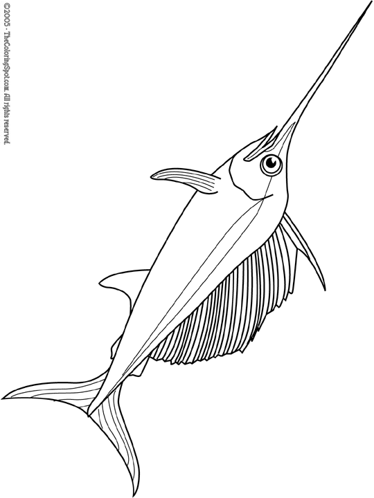 Swordfish Coloring Page | Audio Stories for Kids | Free Coloring Pages