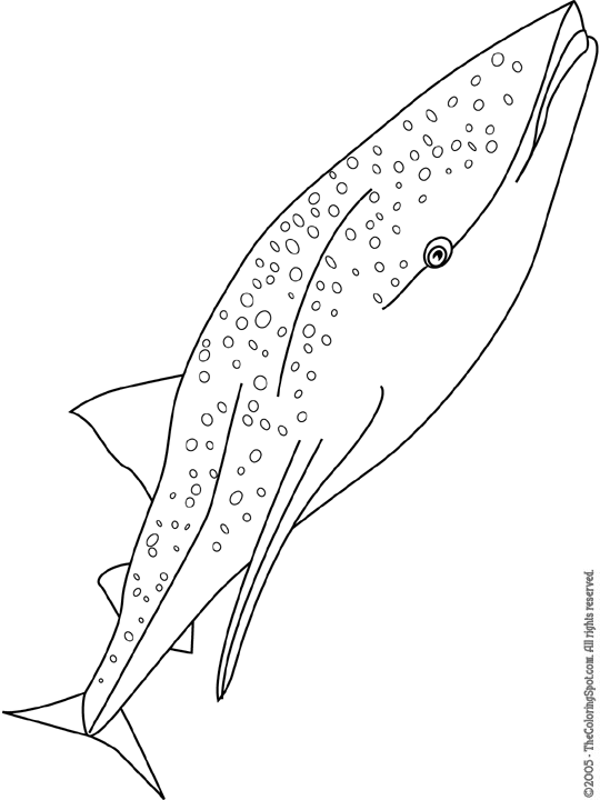 Whale Shark Coloring Page | Audio Stories for Kids | Free Coloring