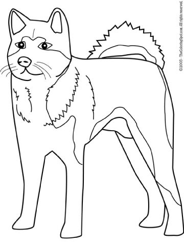 Akita Coloring Page | Audio Stories for Kids | Free Coloring Pages ...