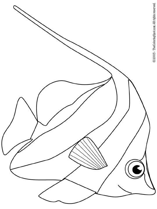 Angelfish Coloring Page | Audio Stories for Kids | Free Coloring Pages