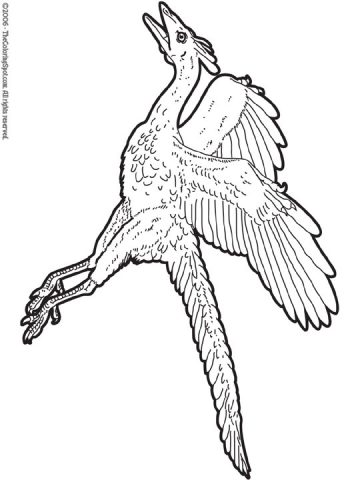 Download 80+ Archeopteryx Dinosaur Coloring Pages PNG PDF File