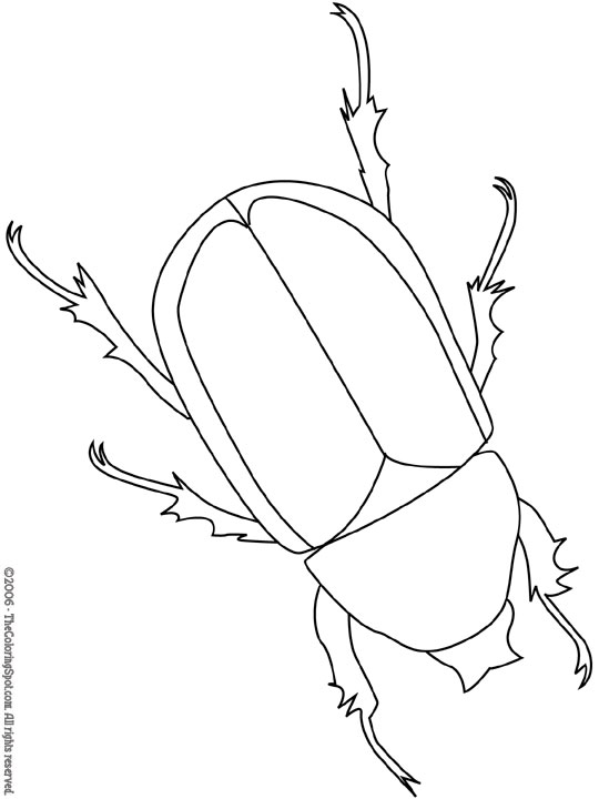 beetle coloring pages