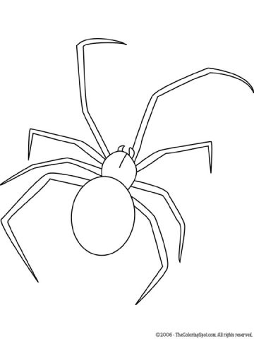 Black Widow Spider Coloring Page | Audio Stories for Kids | Free ...