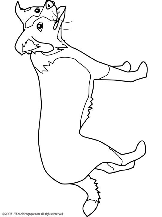 border collie coloring pages