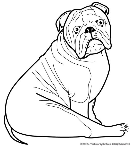 Bulldog Coloring Page | Audio Stories for Kids | Free Coloring Pages