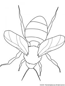 bumblebee | Audio Stories for Kids | Free Coloring Pages | Colouring