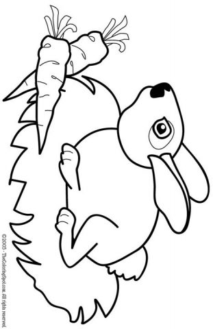 Bunny Coloring Page 1 | Audio Stories for Kids | Free Coloring Pages