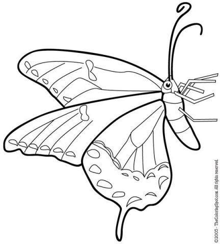 Butterfly Coloring Page 1 | Audio Stories for Kids | Free Coloring ...