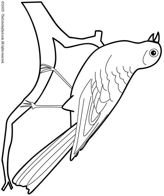 Canary Coloring Page 1 | Audio Stories for Kids | Free Coloring Pages