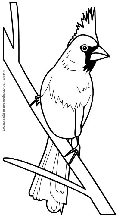 Cardinal Coloring Page 1 | Audio Stories for Kids | Free Coloring Pages ...