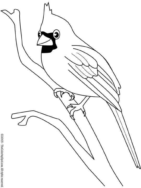 Cardinal Coloring Page 2 | Audio Stories for Kids | Free Coloring Pages