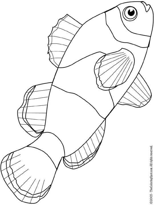 Clownfish Coloring Page | Audio Stories for Kids | Free Coloring Pages