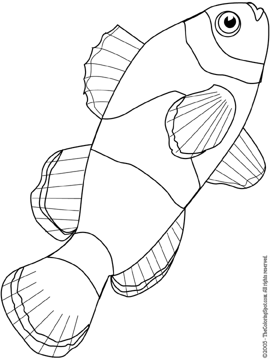 c-for-clownfish-coloring-pages-pdf-printable-coloringfolder