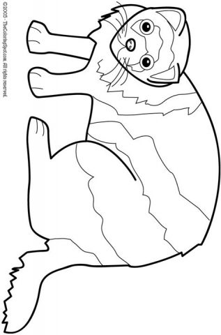 Ferret Coloring Page | Audio Stories for Kids | Free Coloring Pages
