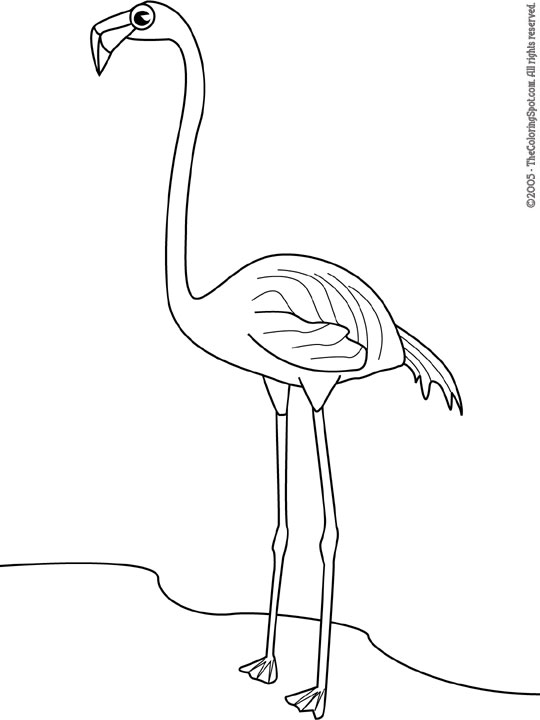 Flamingo Coloring Page 2 | Audio Stories for Kids | Free Coloring Pages ...