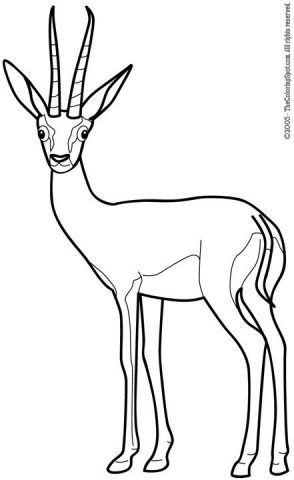 gazelle | Audio Stories for Kids | Free Coloring Pages | Colouring ...