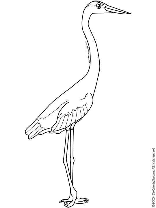 Great Blue Heron Coloring Page | Audio Stories for Kids | Free Coloring ...