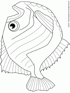 hatchet-fish | Audio Stories for Kids | Free Coloring Pages | Colouring