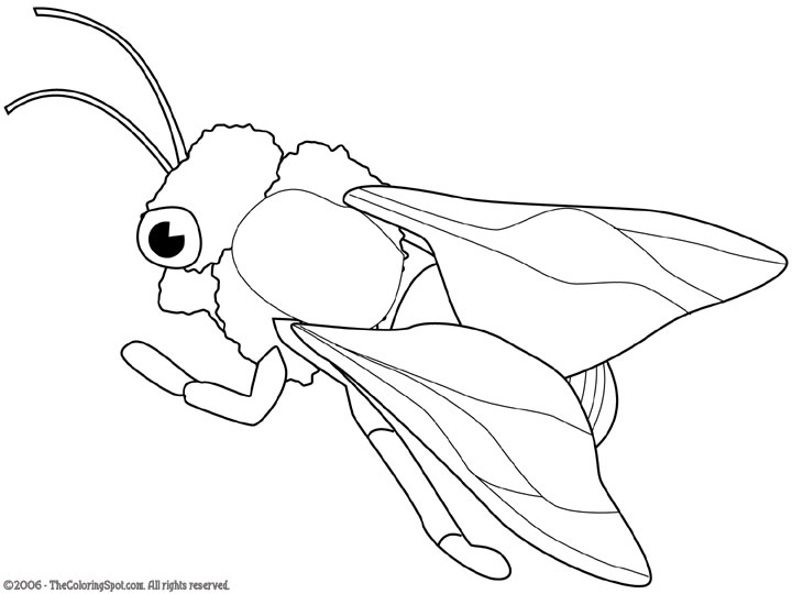 honeybee | Audio Stories for Kids | Free Coloring Pages | Colouring ...