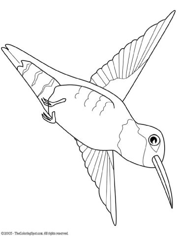 hummingbird2 | Audio Stories for Kids | Free Coloring Pages | Colouring