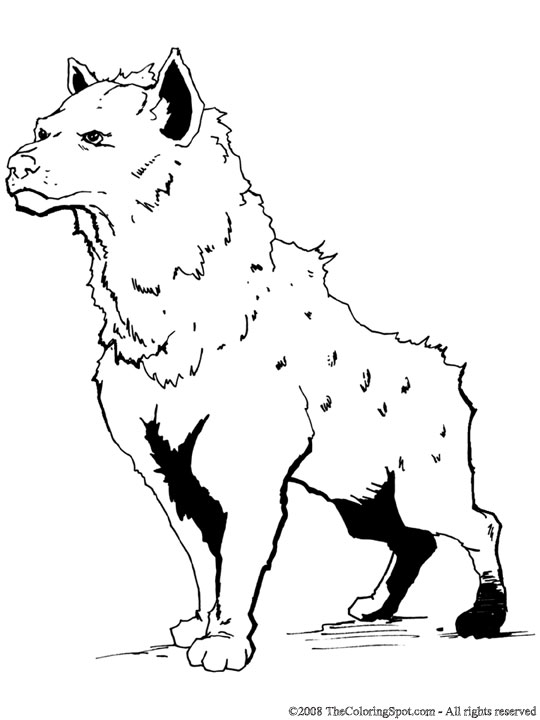 Hyena Coloring Page | Audio Stories for Kids | Free Coloring Pages
