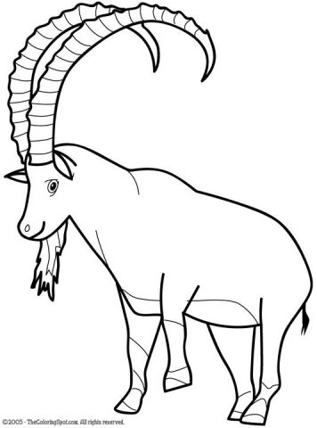 Ibex Coloring Page | Audio Stories for Kids | Free Coloring Pages ...