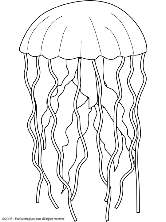 Jellyfish Coloring Page | Audio Stories for Kids | Free Coloring Pages