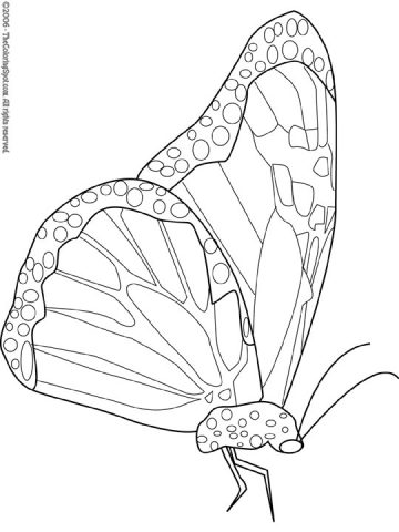 Monarch Butterfly Coloring Page | Audio Stories for Kids | Free ...