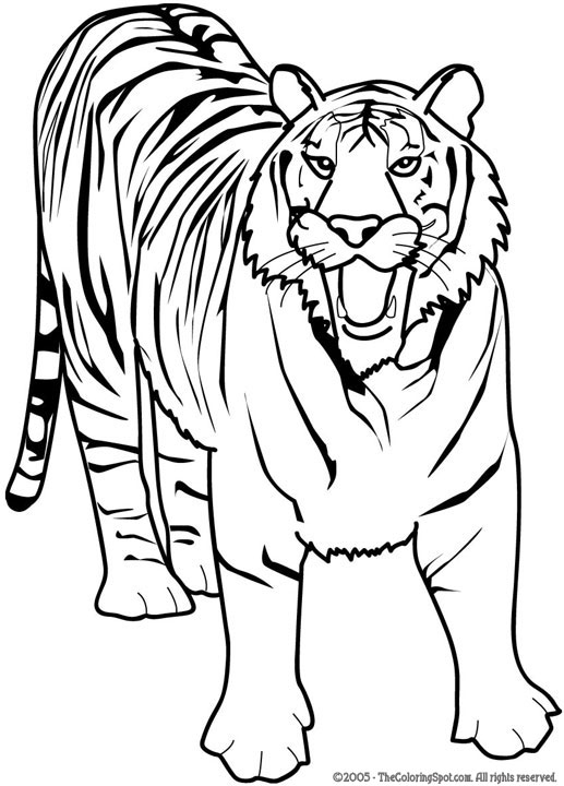 Tiger Coloring Page | Audio Stories for Kids | Free Coloring Pages